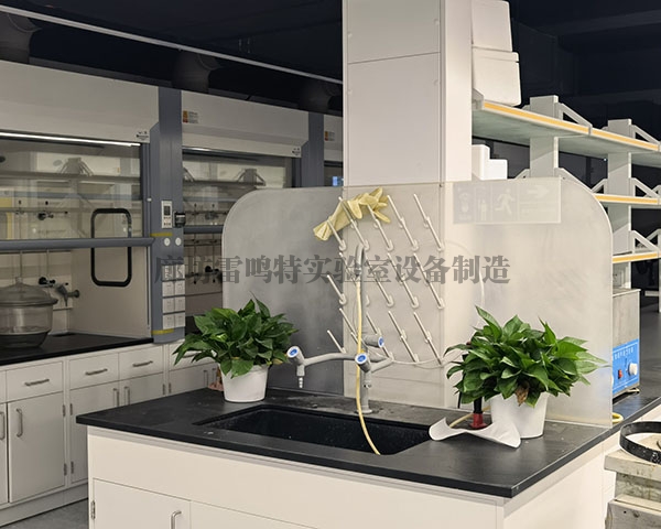高標準實驗室建設，麻豆精品一区為什麽依靠硬核實力成為行業主流標配